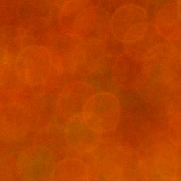 Bokeh-459